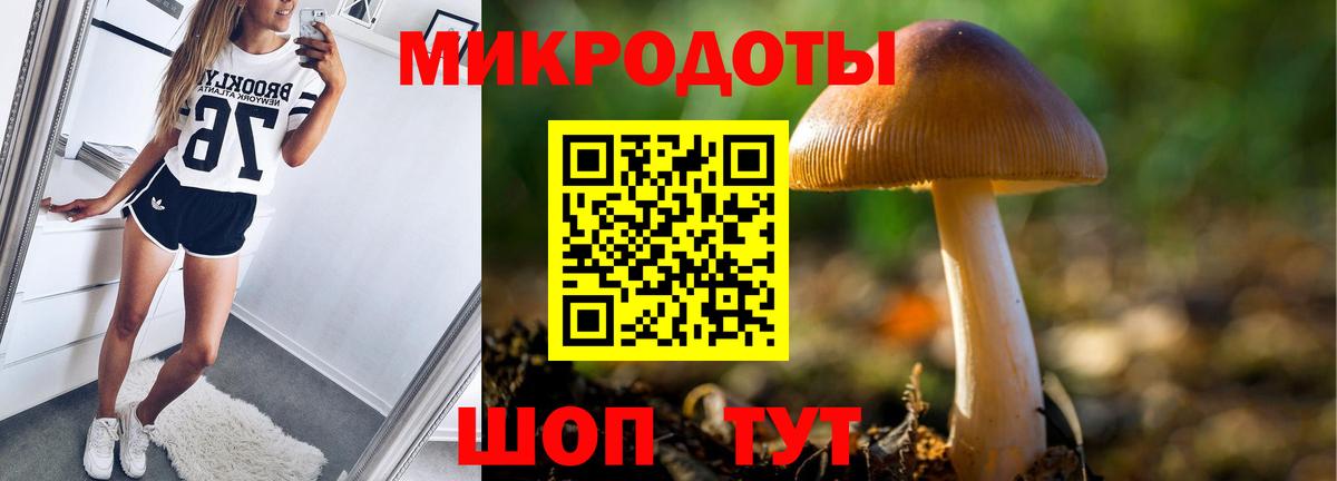 Псилоцибиновые грибы Psilocybine cubensis  Галлюциногенные грибы прущие грибы  Вход с VPN  где купить   Семёнов 